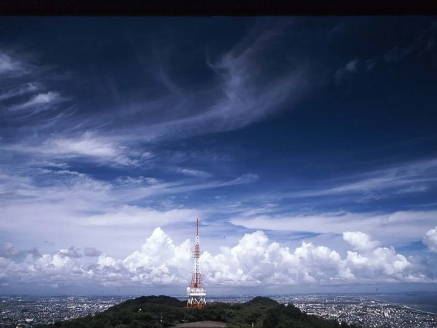 湘南の海を一望する湘南平