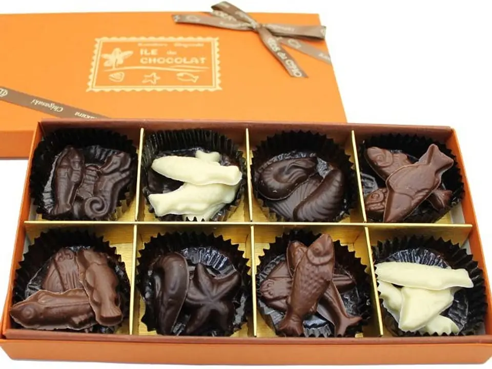 ヨーロッパの極上クベルチュールを使い、湘南らしくさかなや貝の型に仕上げた板チョコ24粒入1780円