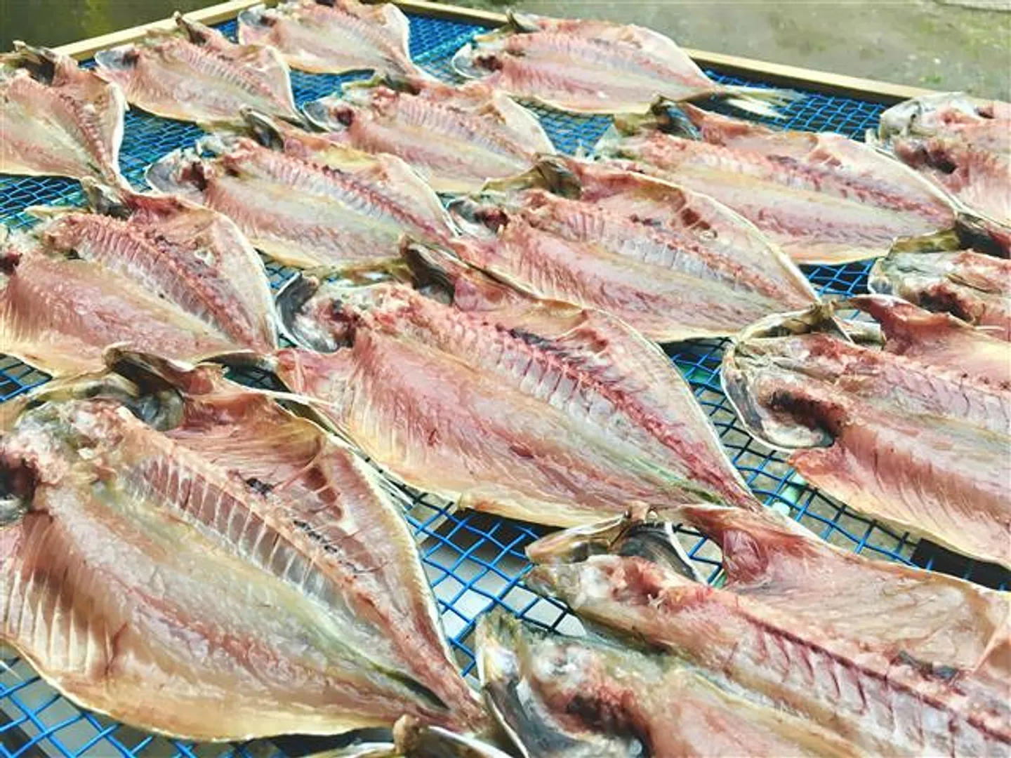 一番人気のアジの開き