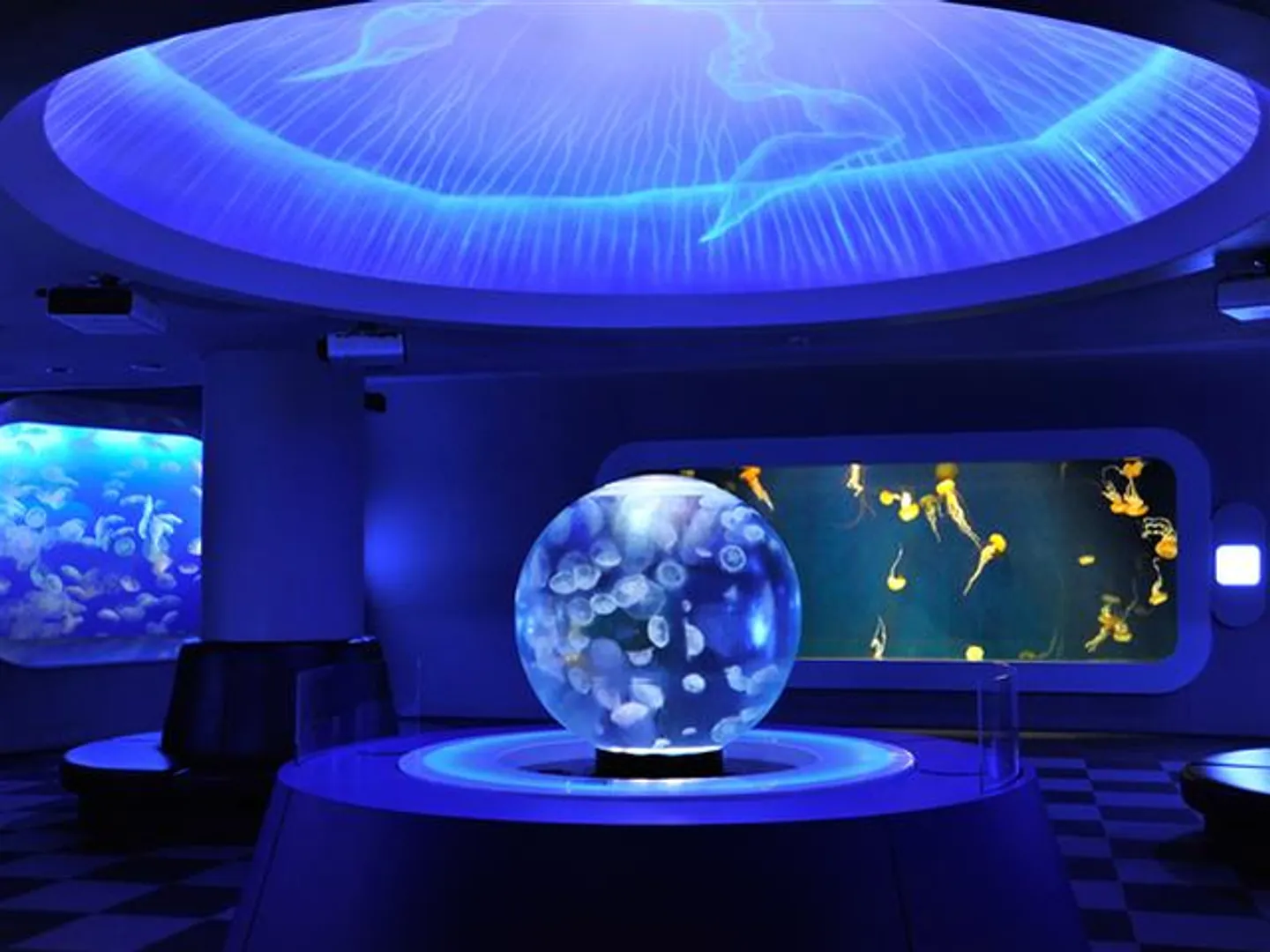 幻想的な癒し空間「クラゲファンタジーホール」