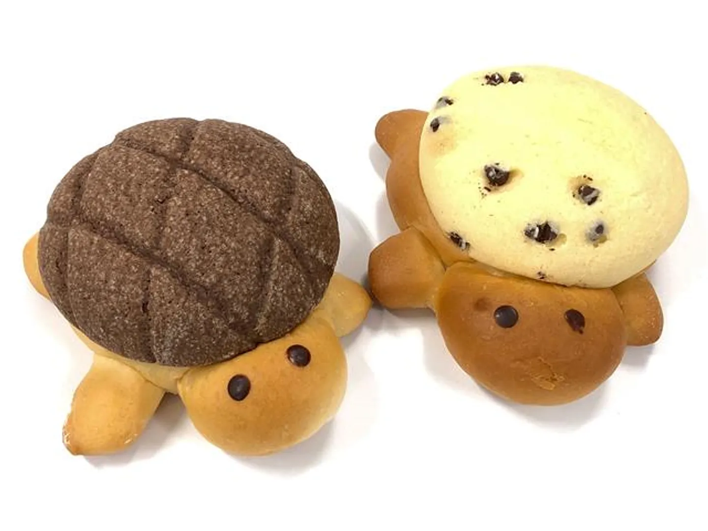 抹茶やイチゴなど5種類あるカメをかたどったメロンパンの「カメロンパン」