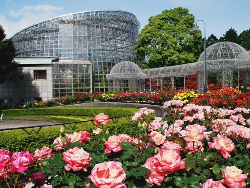 5月はバラ、6月には花菖蒲、1～3月は梅が楽しめる