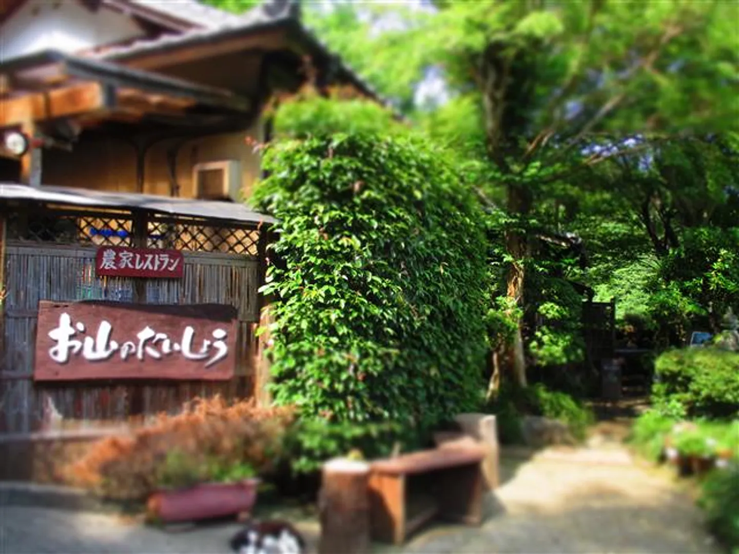 お山のたいしょう エントランス