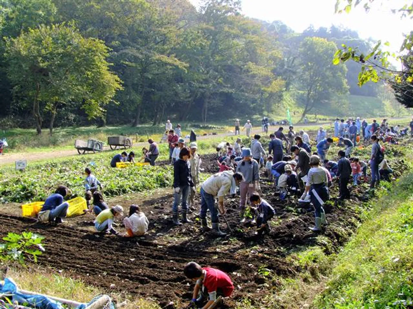 茅ケ崎里山公園倶楽部
