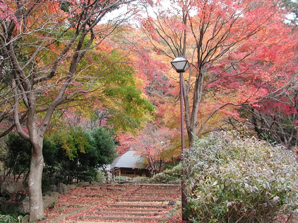 紅葉の美しい寸草亭