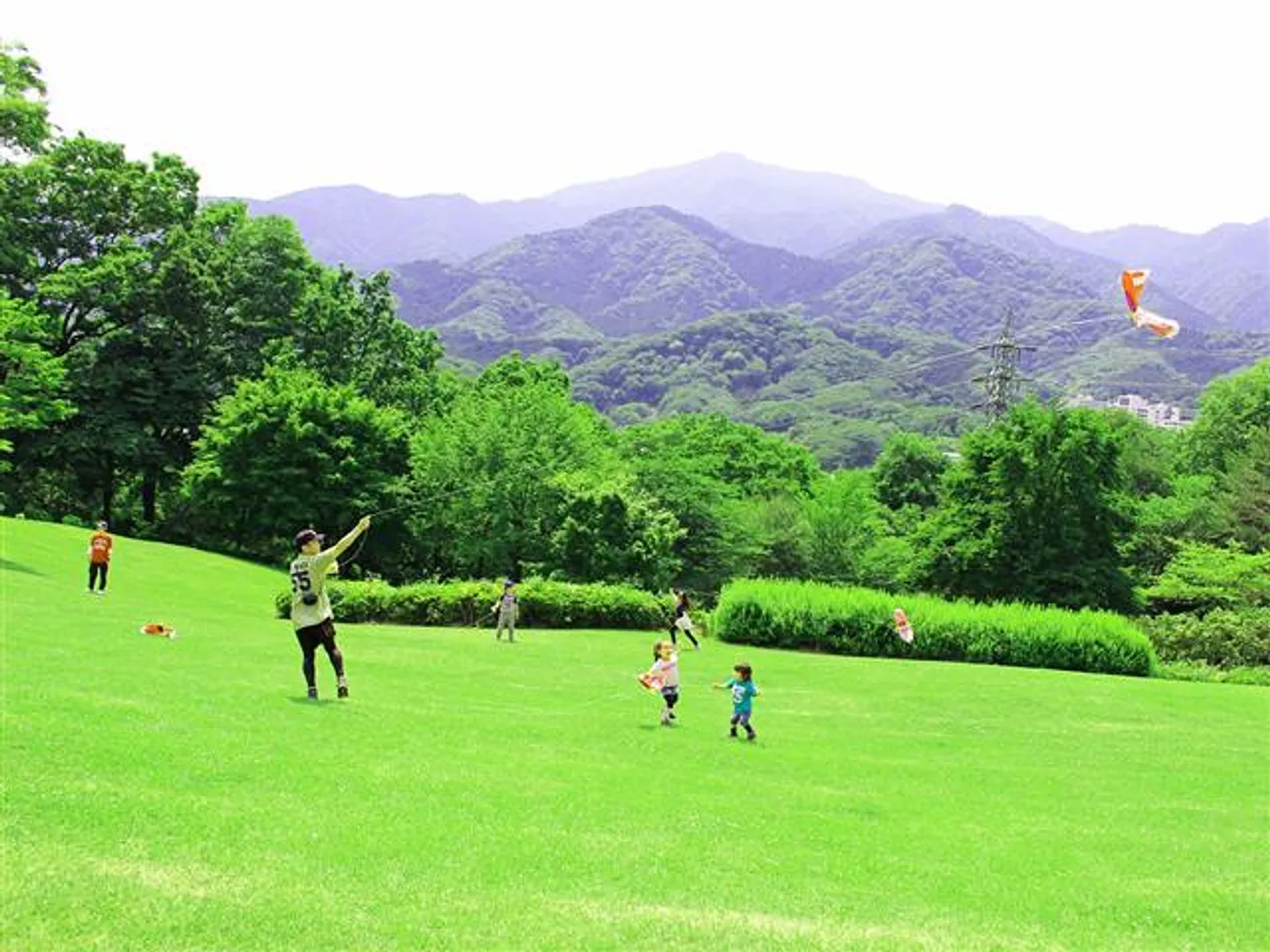 新緑のおおやま広場