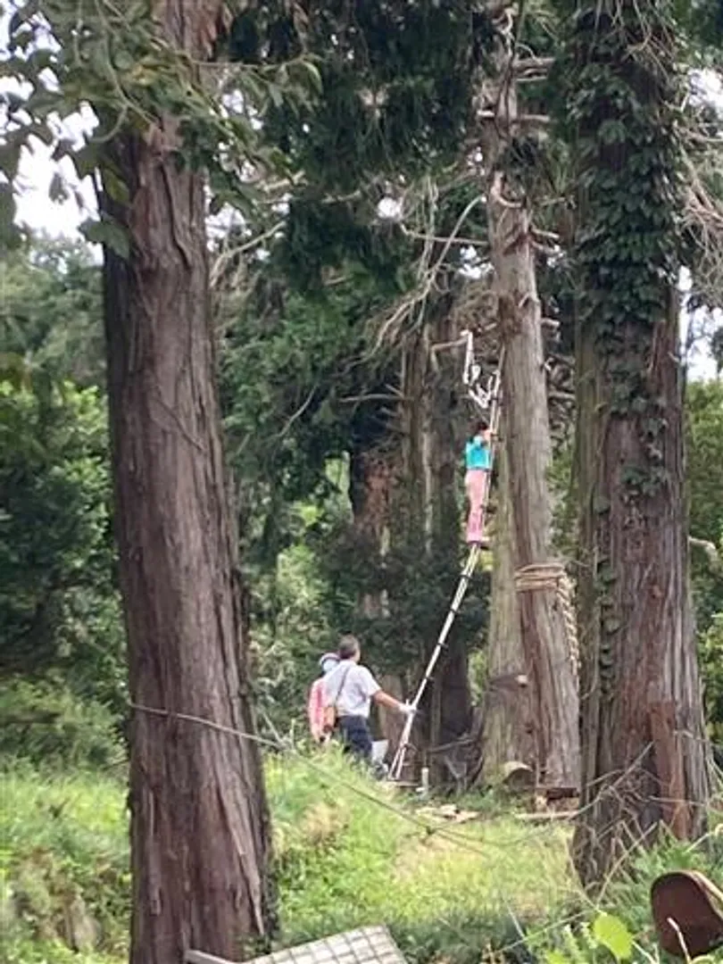 上へ、上へ、そして大きな秋の空