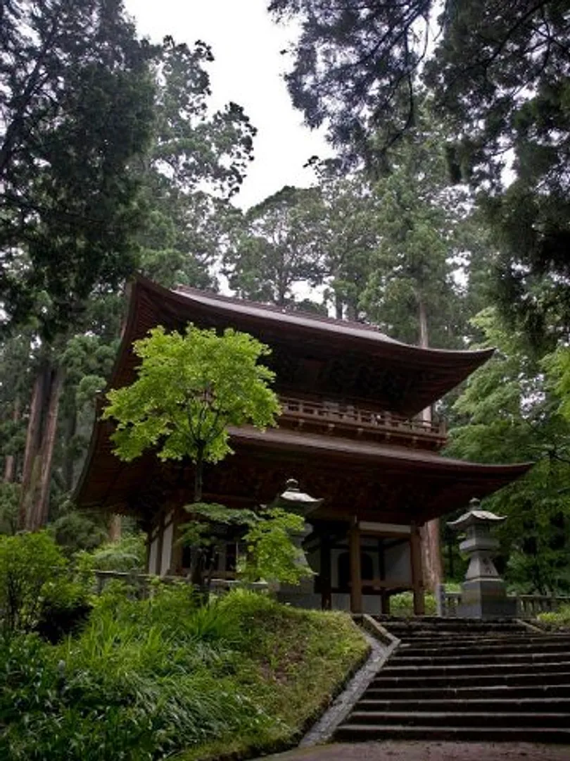 大杉に囲まれた参道に建つ三門(山門)