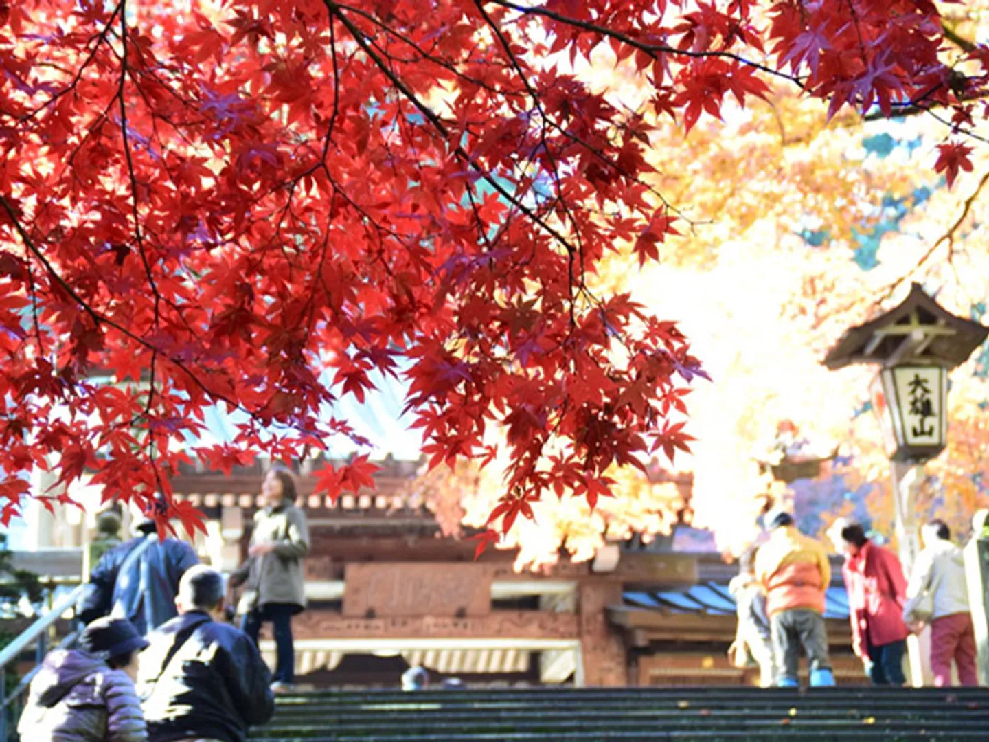 紅葉の見どころの一つである瑠璃門