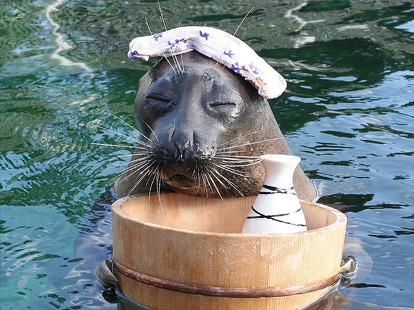 ビリーうっとり