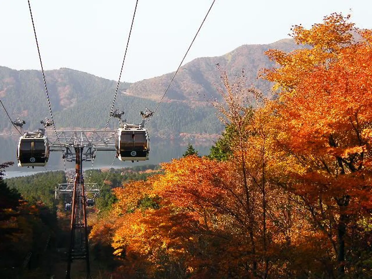沿線の紅葉から遠くの山々の色づきまでワイドに楽しめる