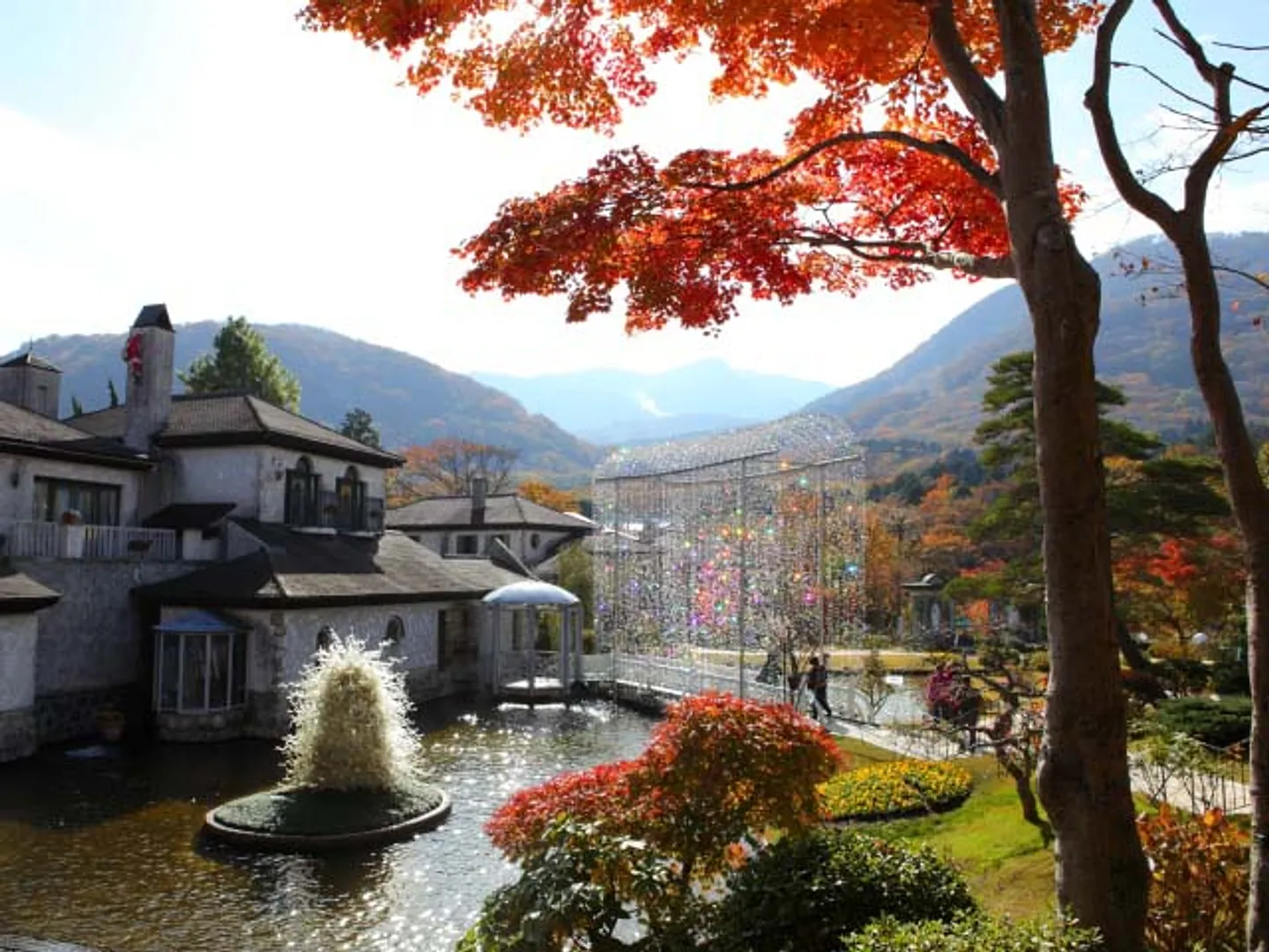 大涌谷を一望できる絶景