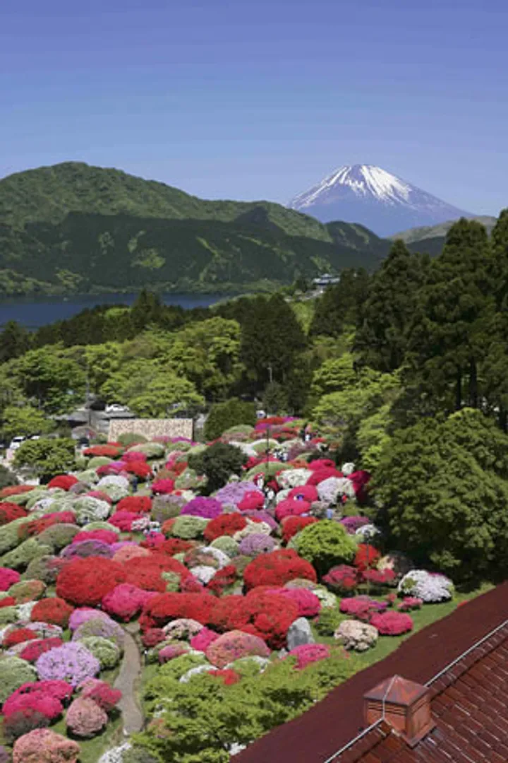 本館展望室からの眺め