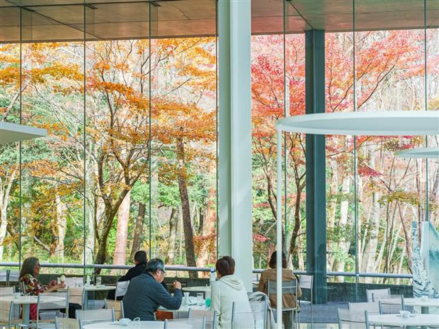 緑を眺めて寛げる「カフェ チューン」