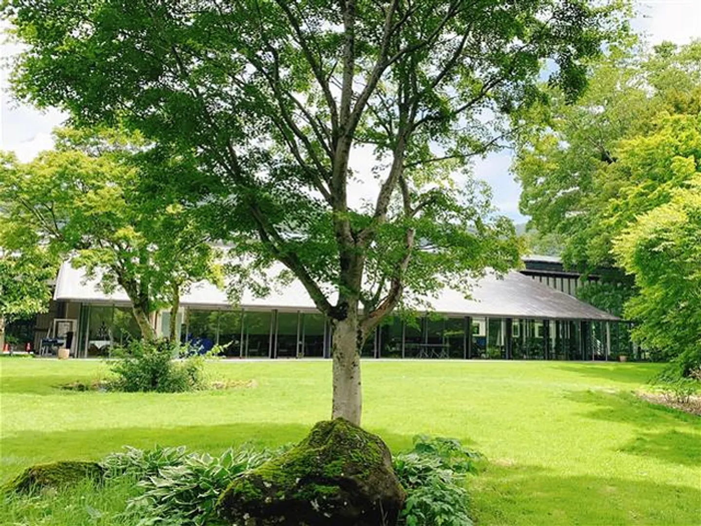 中庭からレストラン