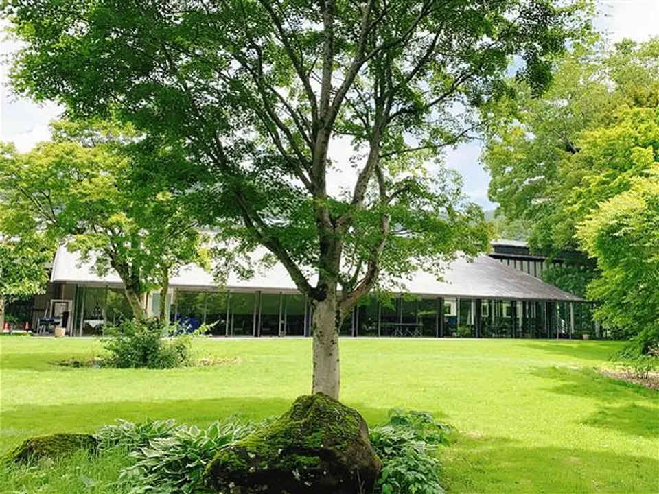 中庭からレストラン