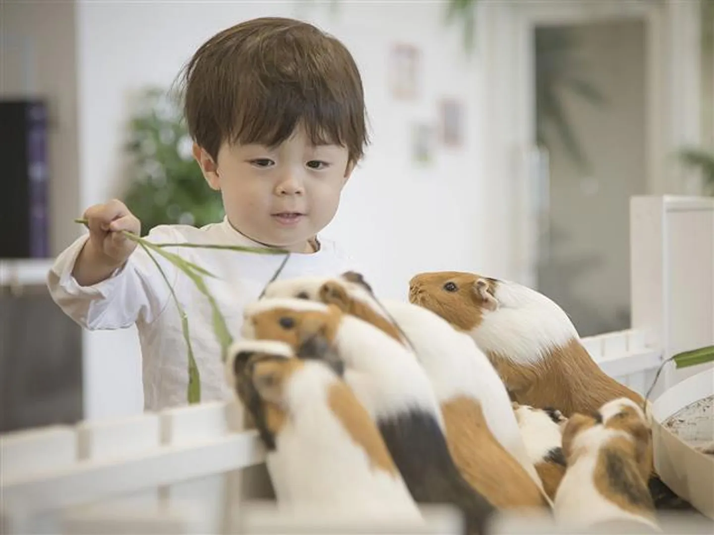 屋内型ふれあい動物園