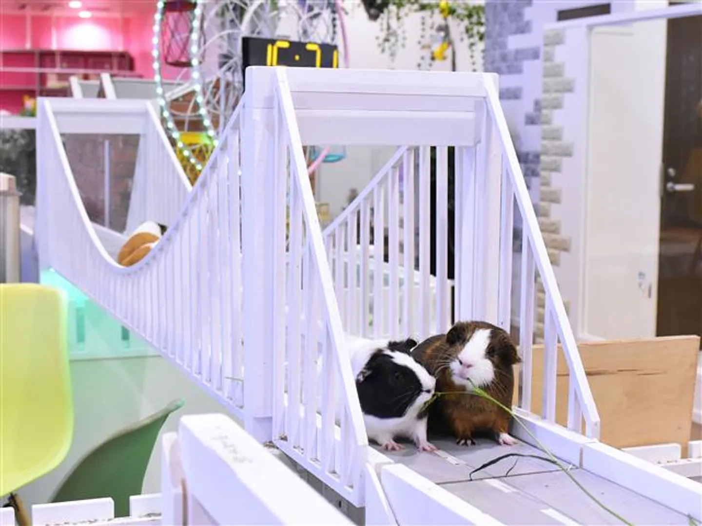 横濱のブリッジ