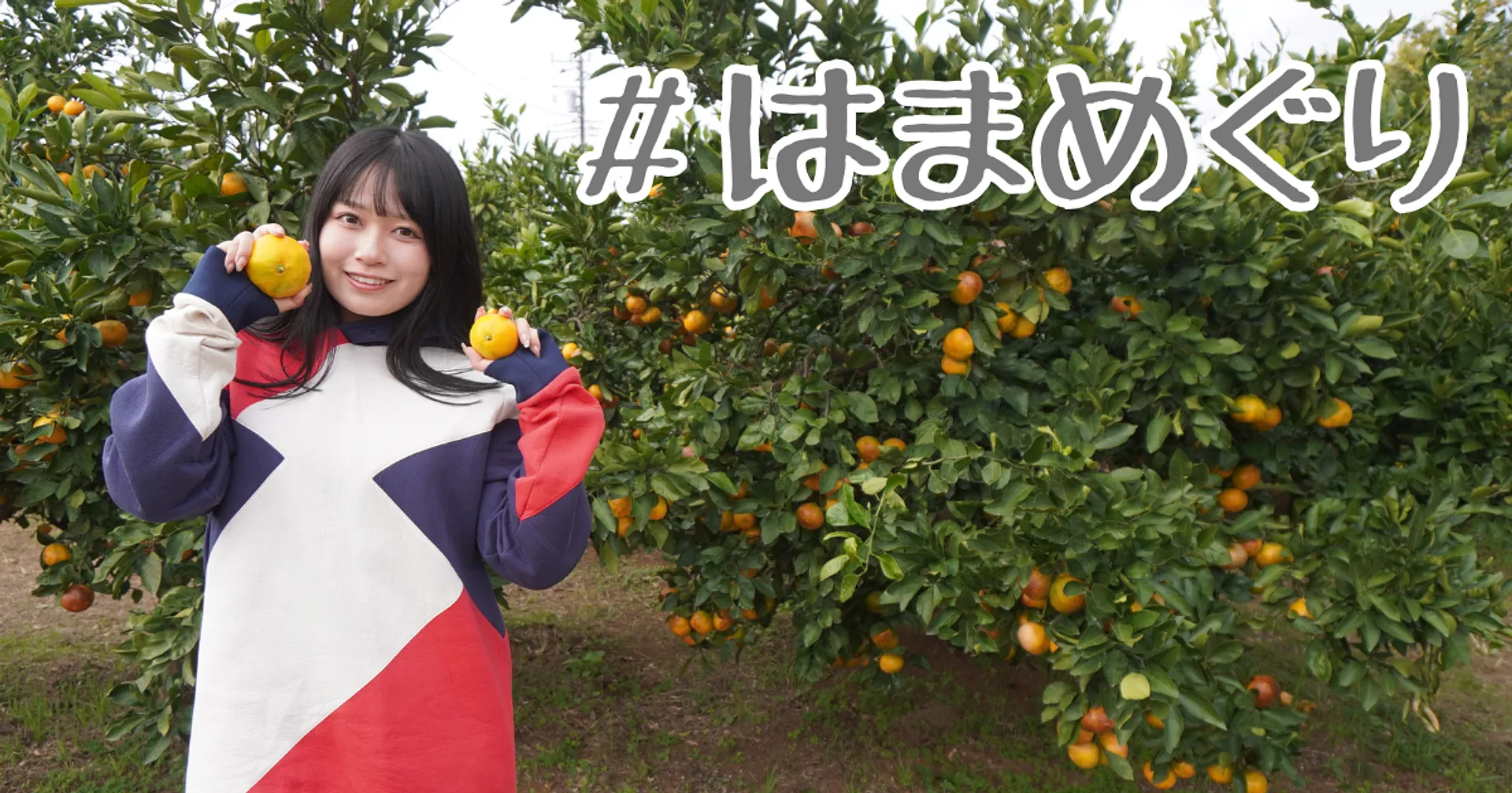 戸塚区はまめぐりサムネイル