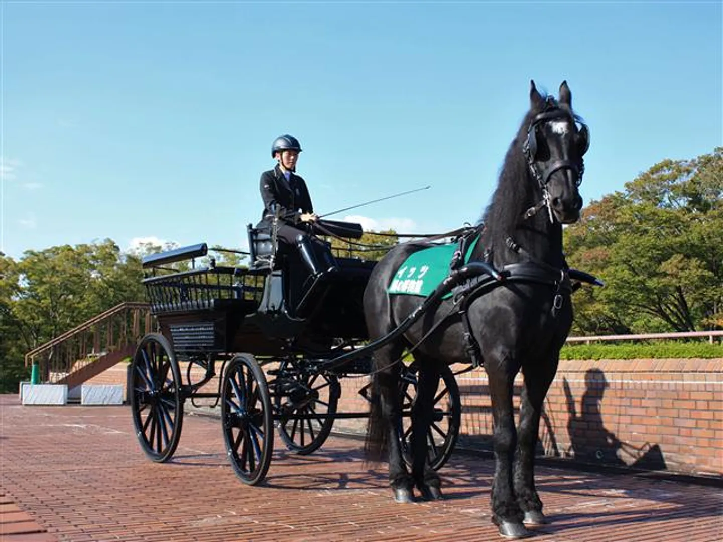 馬車の試乗会の様子(開催日についてはウェブサイトを要確認)