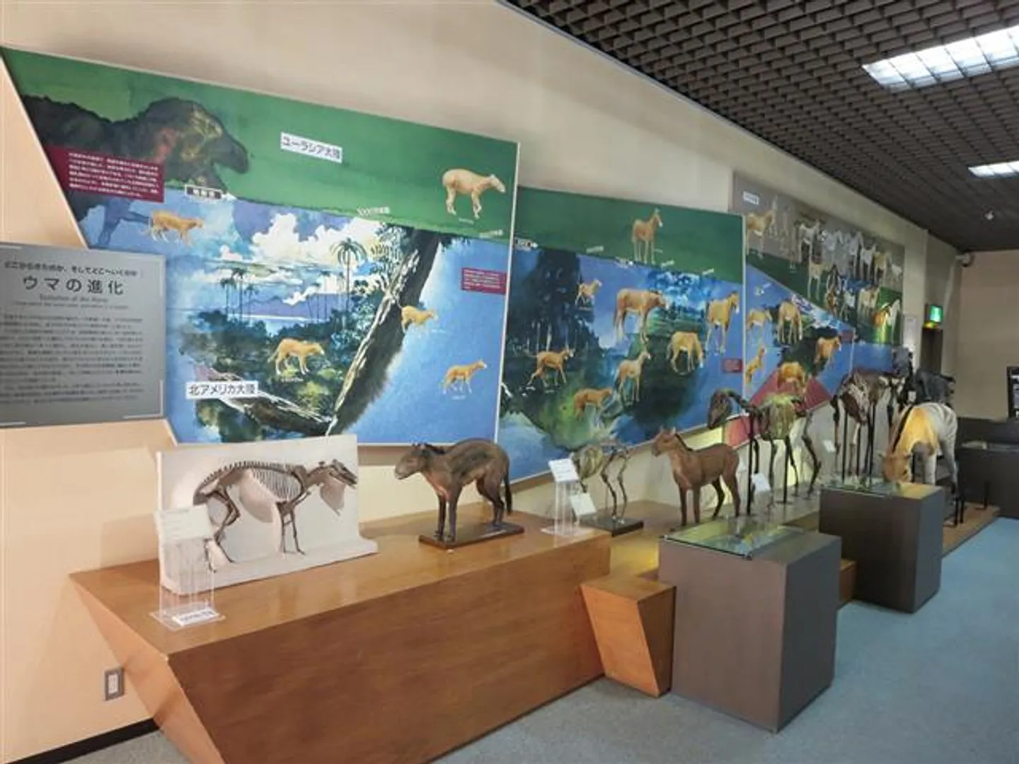 展示風景。館内では馬に関するさまざまな展示が見学できる