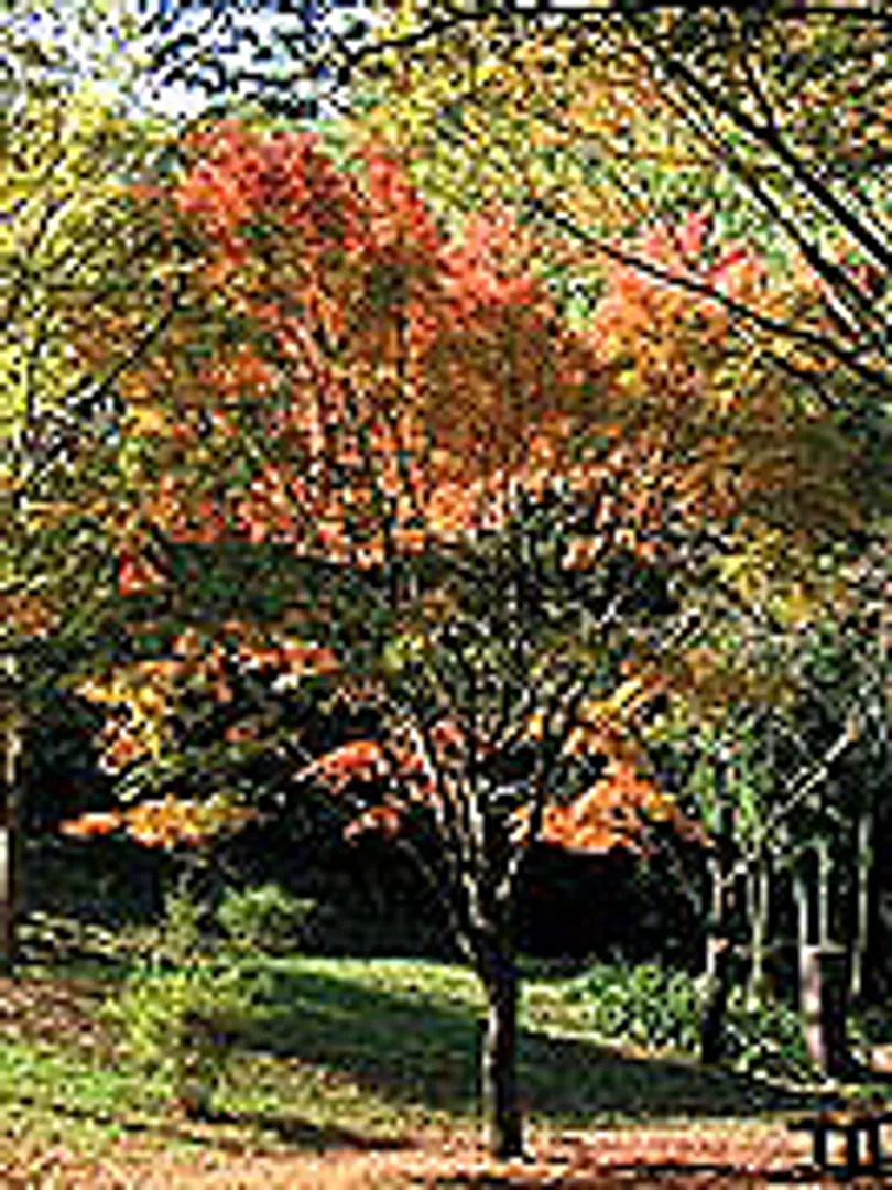 四季折々の景観が楽しめる広々とした園内