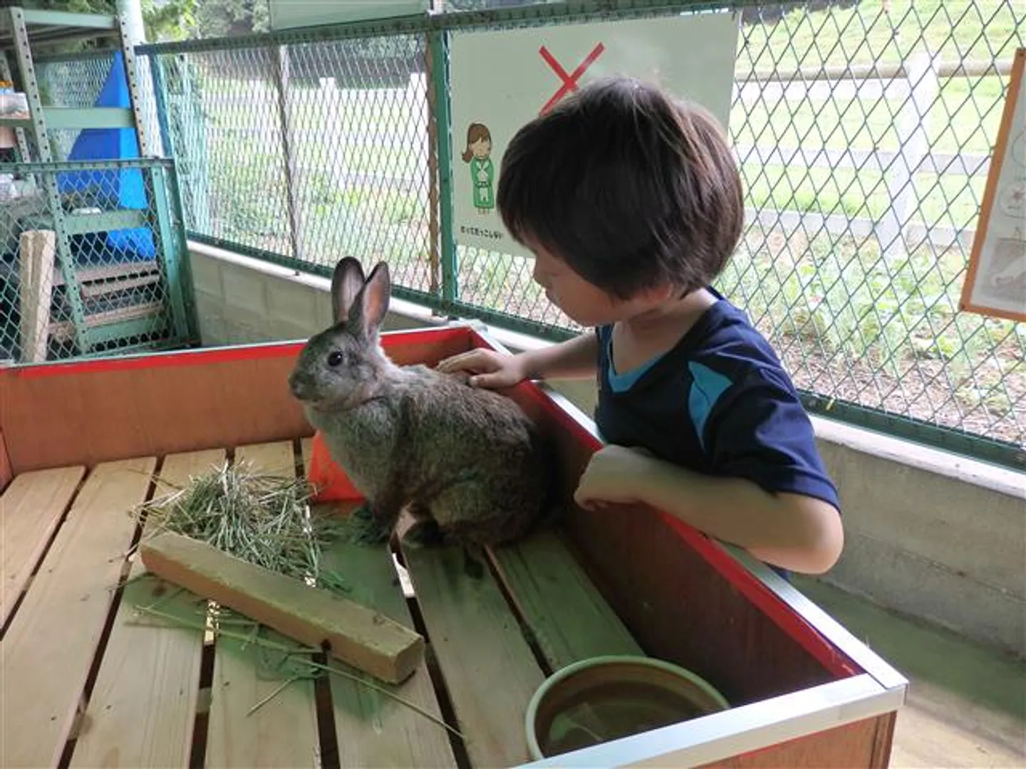 こども動物園のふれあい