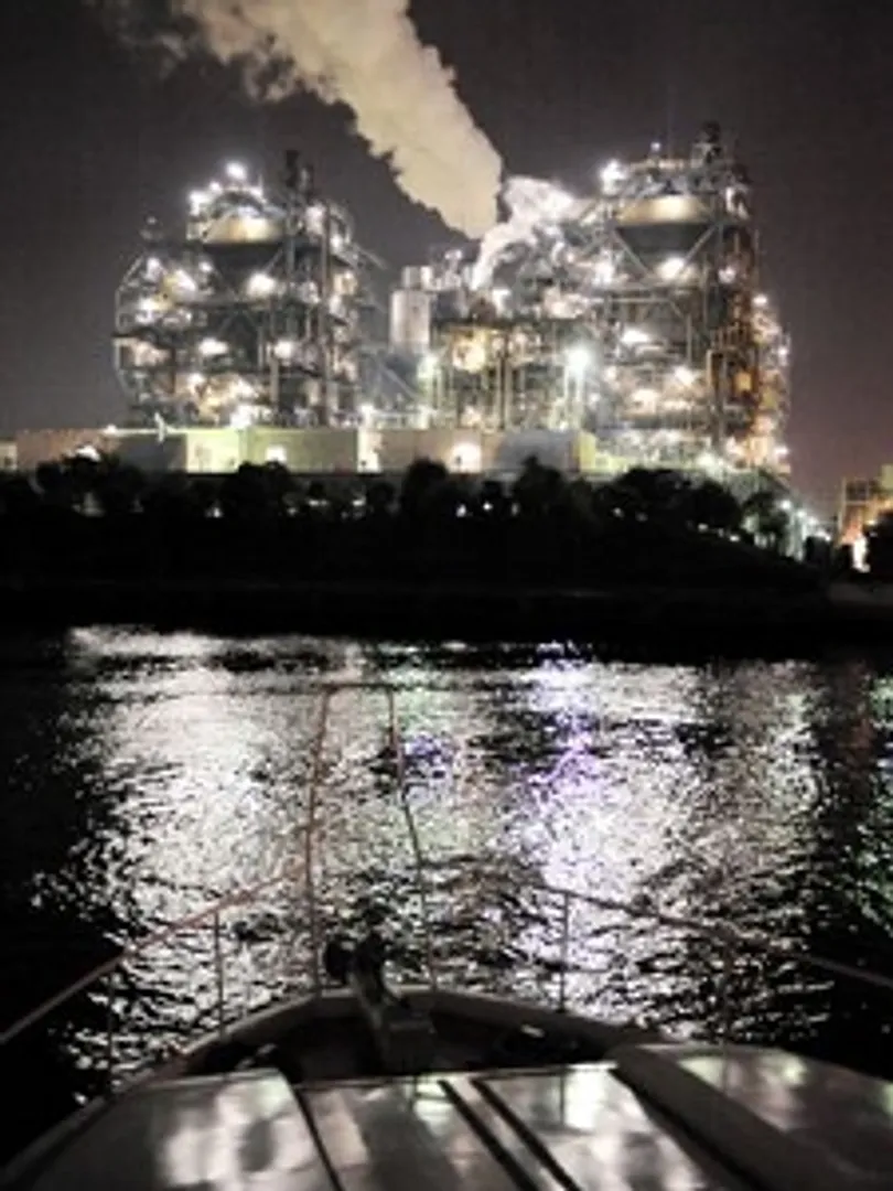 ジャングルmainS