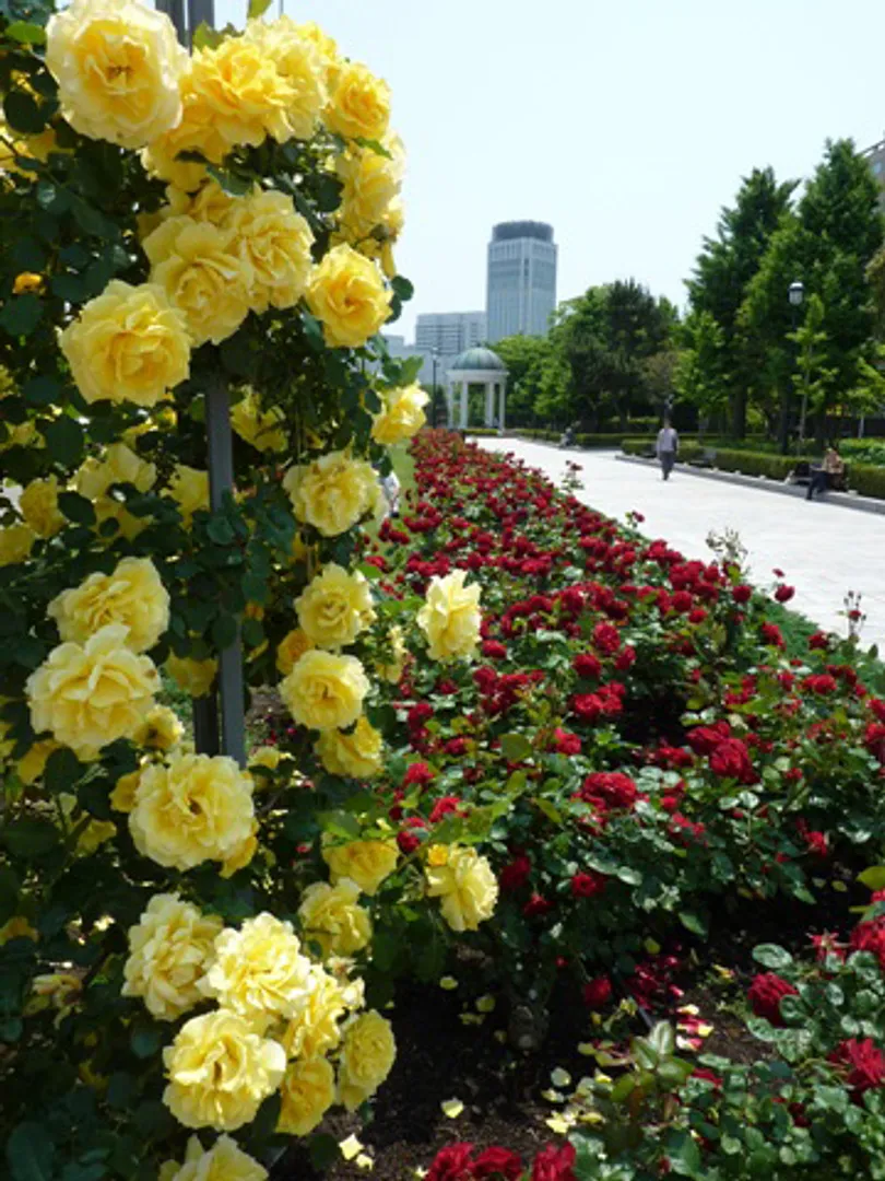J0042766c.jpg