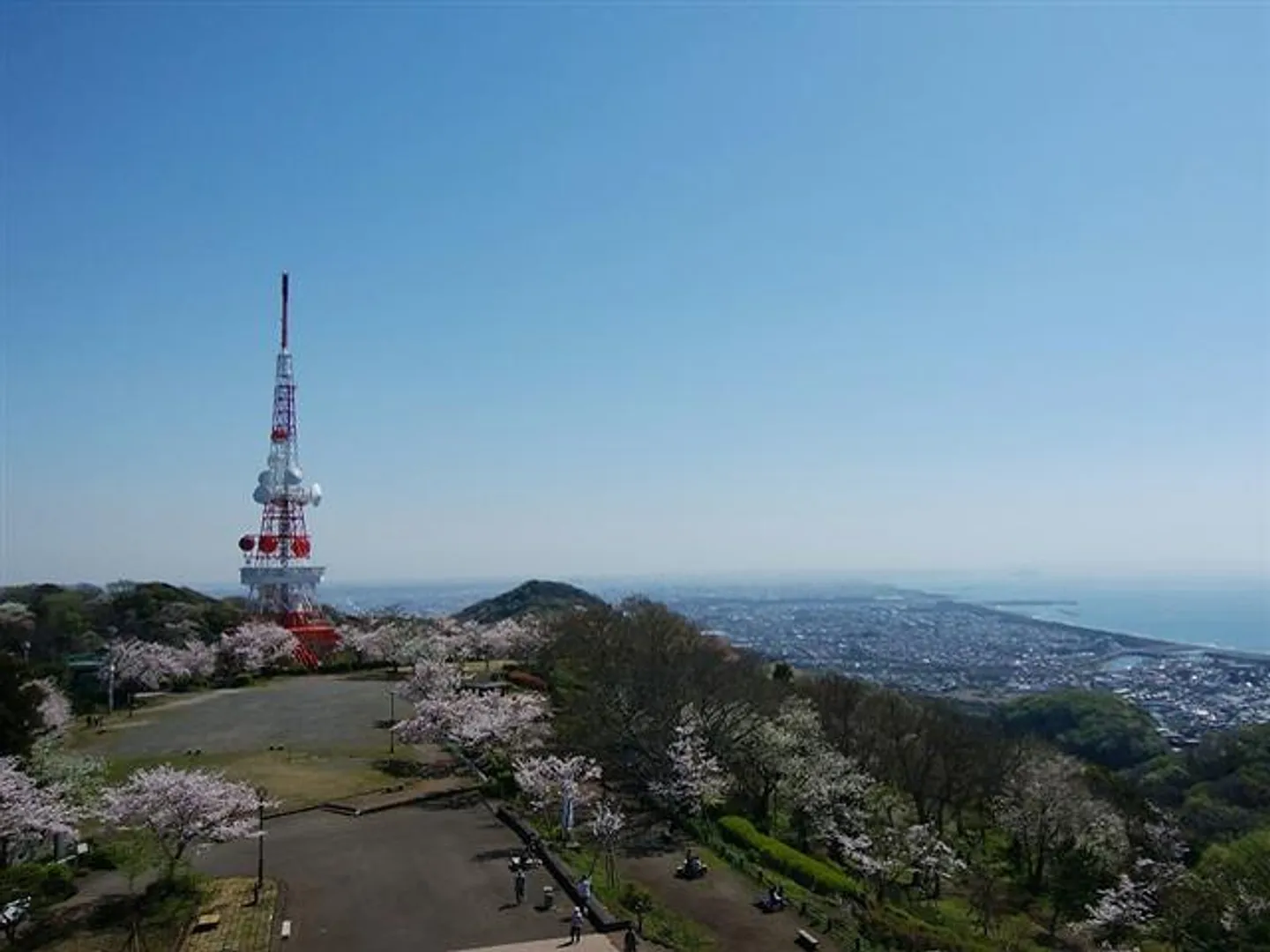 J0056900c.jpg