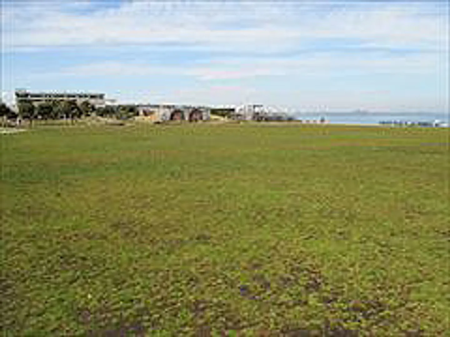 J0042767a.jpg