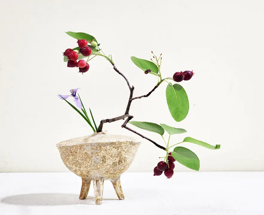 小田原文化芸術協会