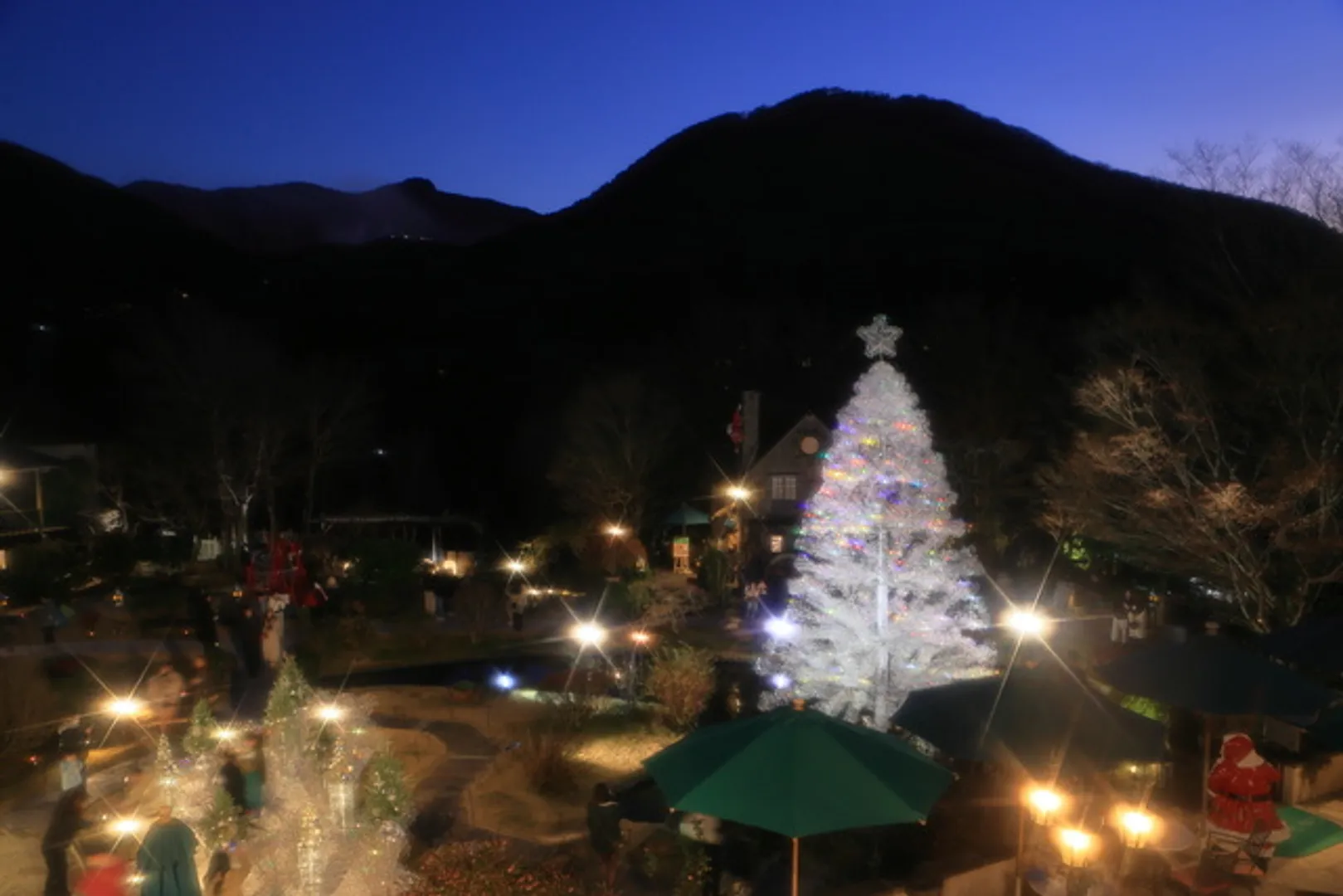 クリスタル・ガラスのクリスマスツリー