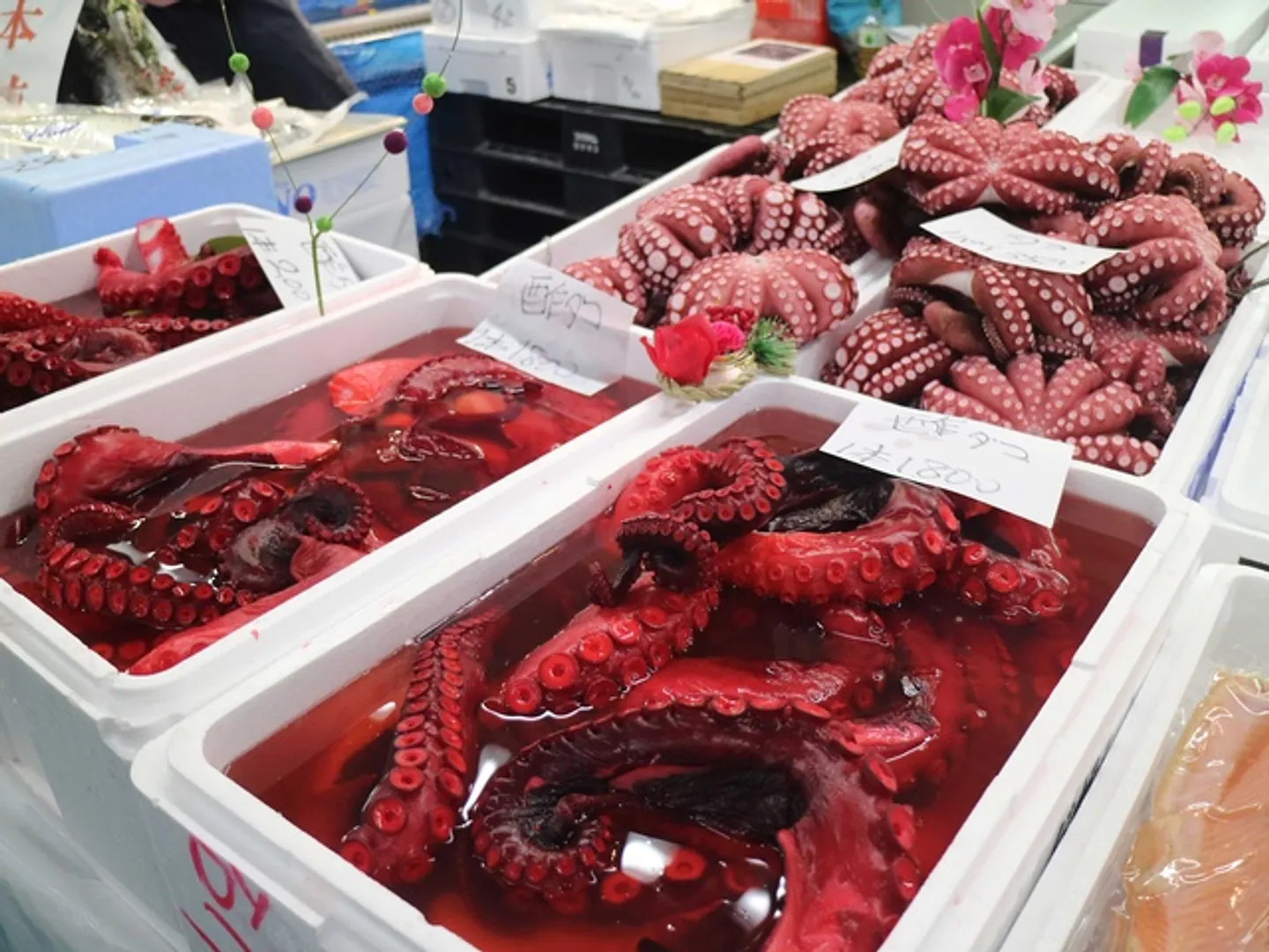 年末年始に欠かせない食材が多数並ぶ