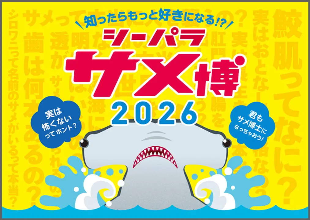 五感で楽しむサメ特化型の特別展「シーパラ サメ博2026」