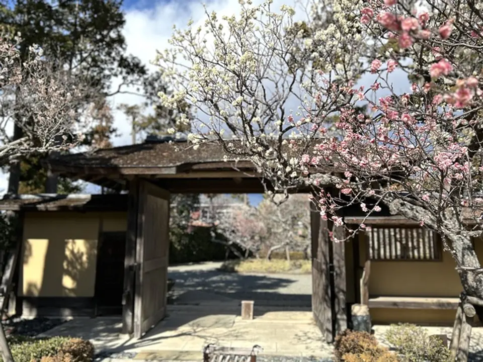 NPO法人大磯ガイド協会