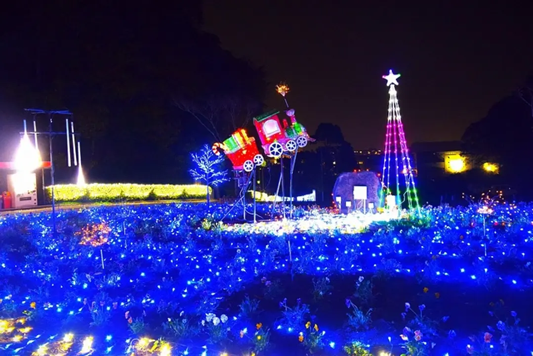 くりはま花の国