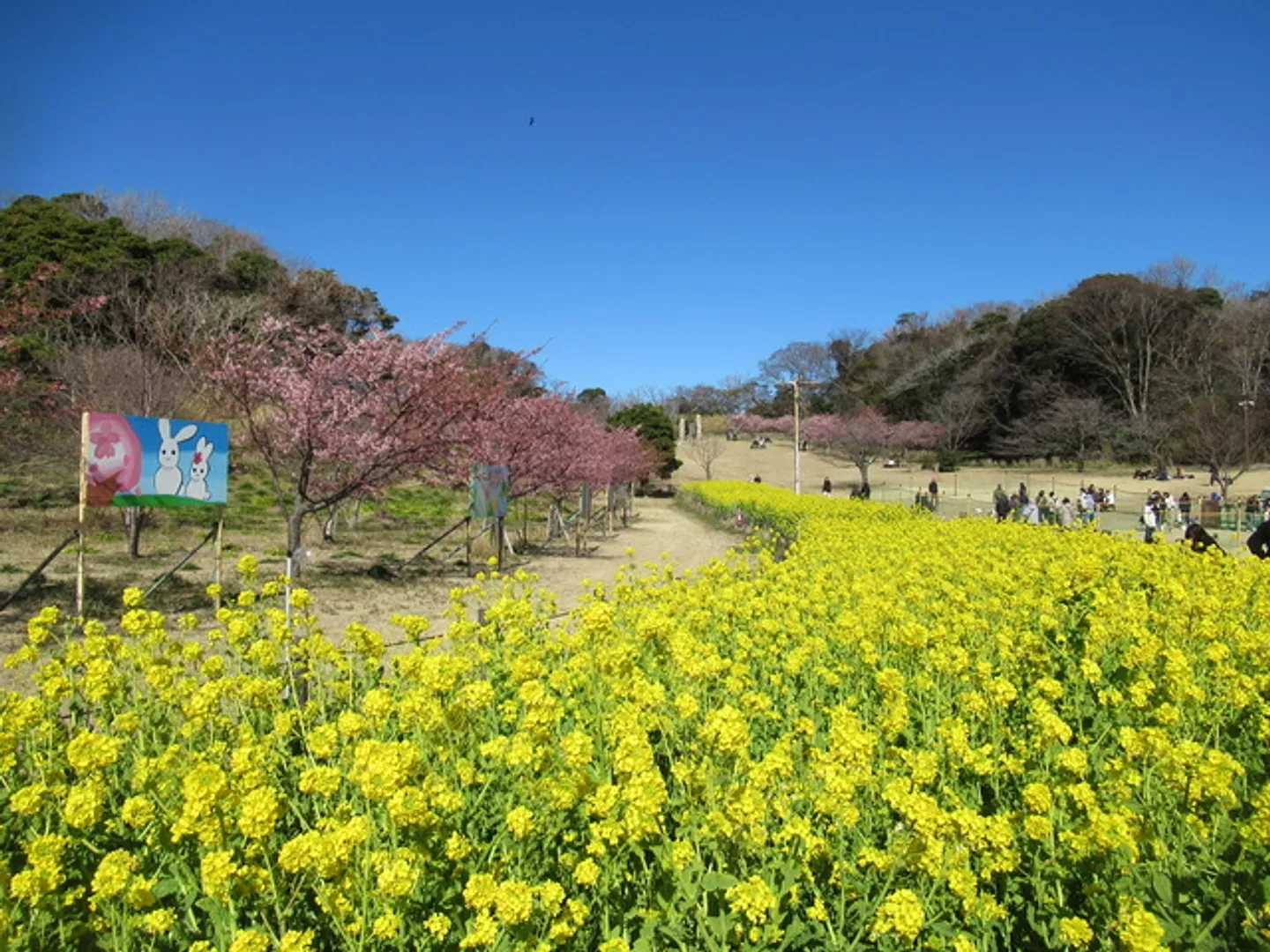 （ｃ）神奈川県公園協会・京急サービス共同事業体