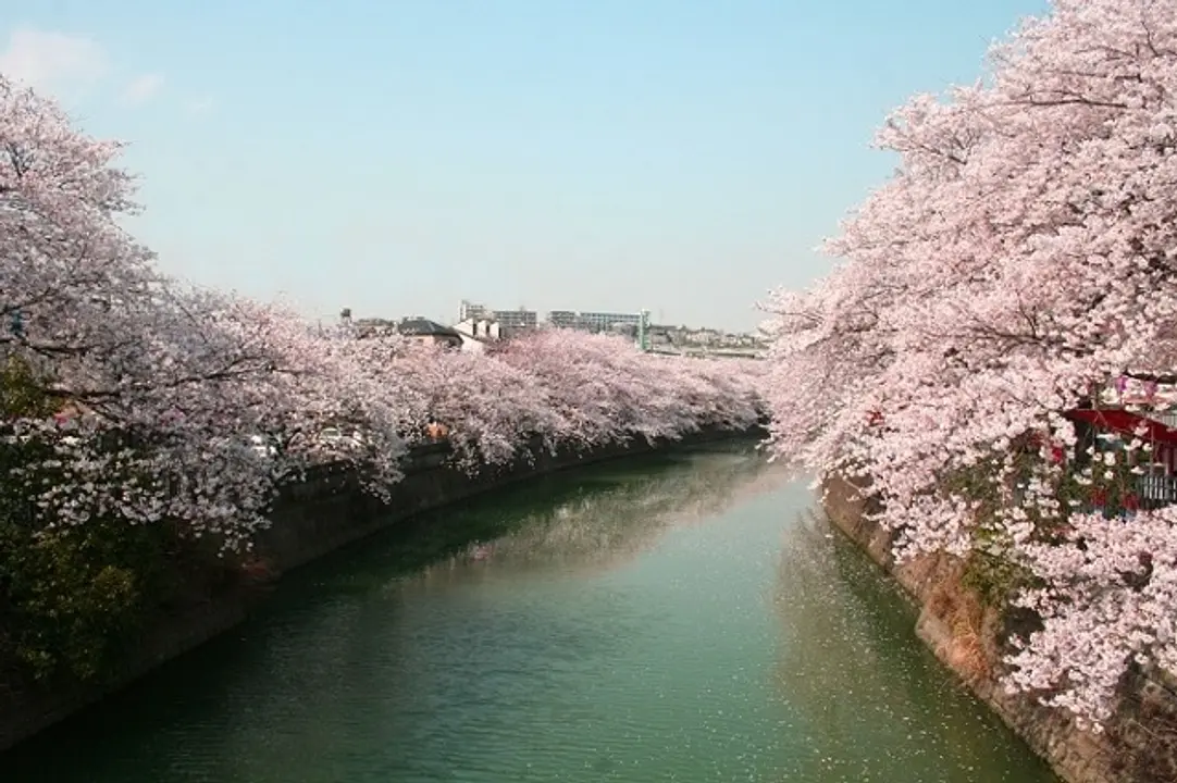 過去開催時の様子