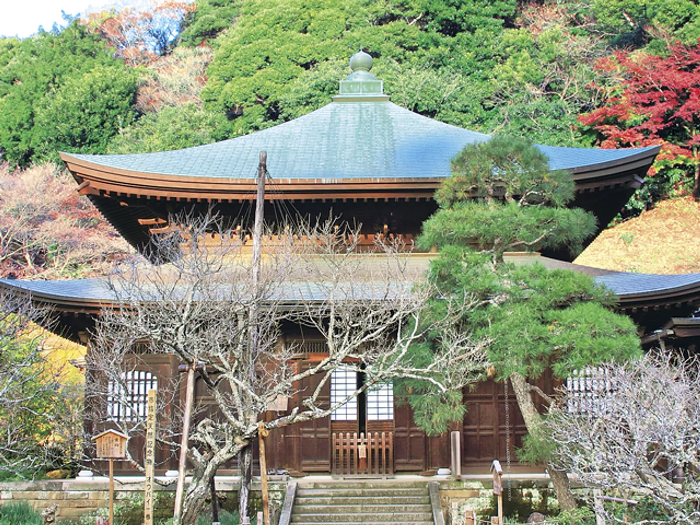 境内裏手からは建長寺まで続くハイキングコースもある