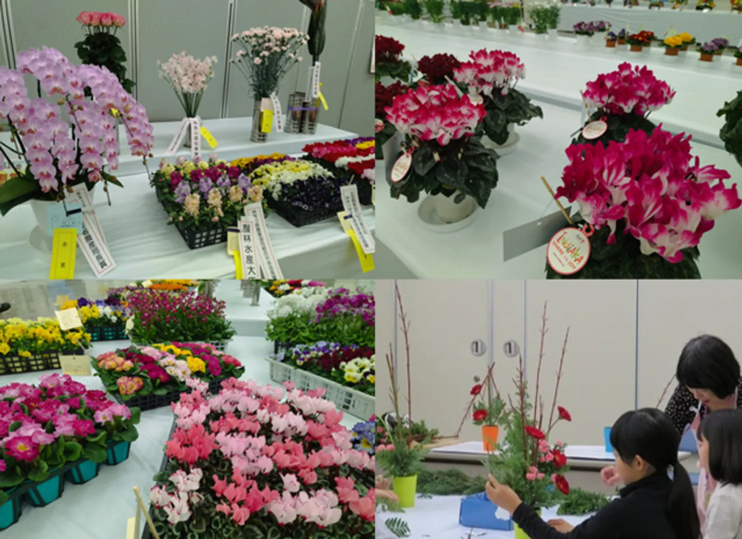 過去の展覧会の様子