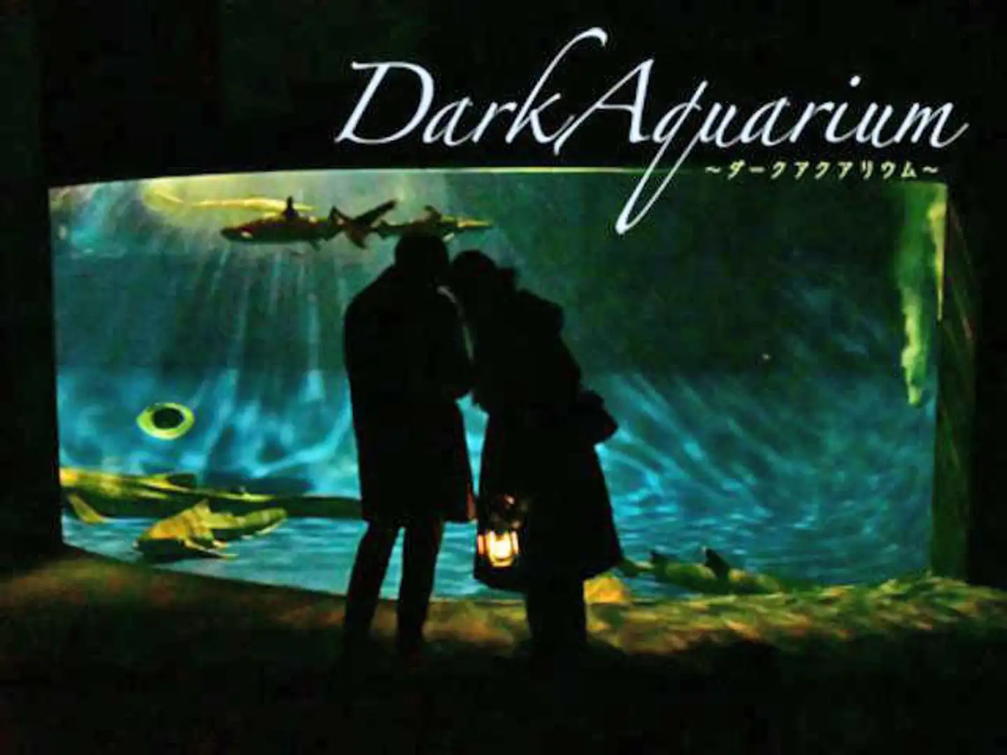 DarkAquarium －ダークアクアリウム－ | イベント一覧 | かながわ 横浜