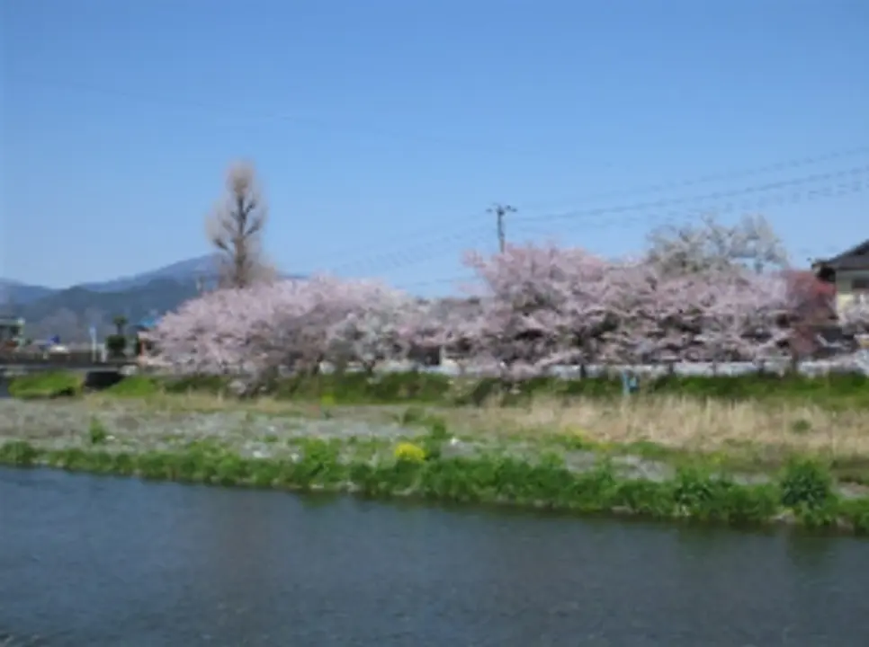 (C)平塚市観光協会