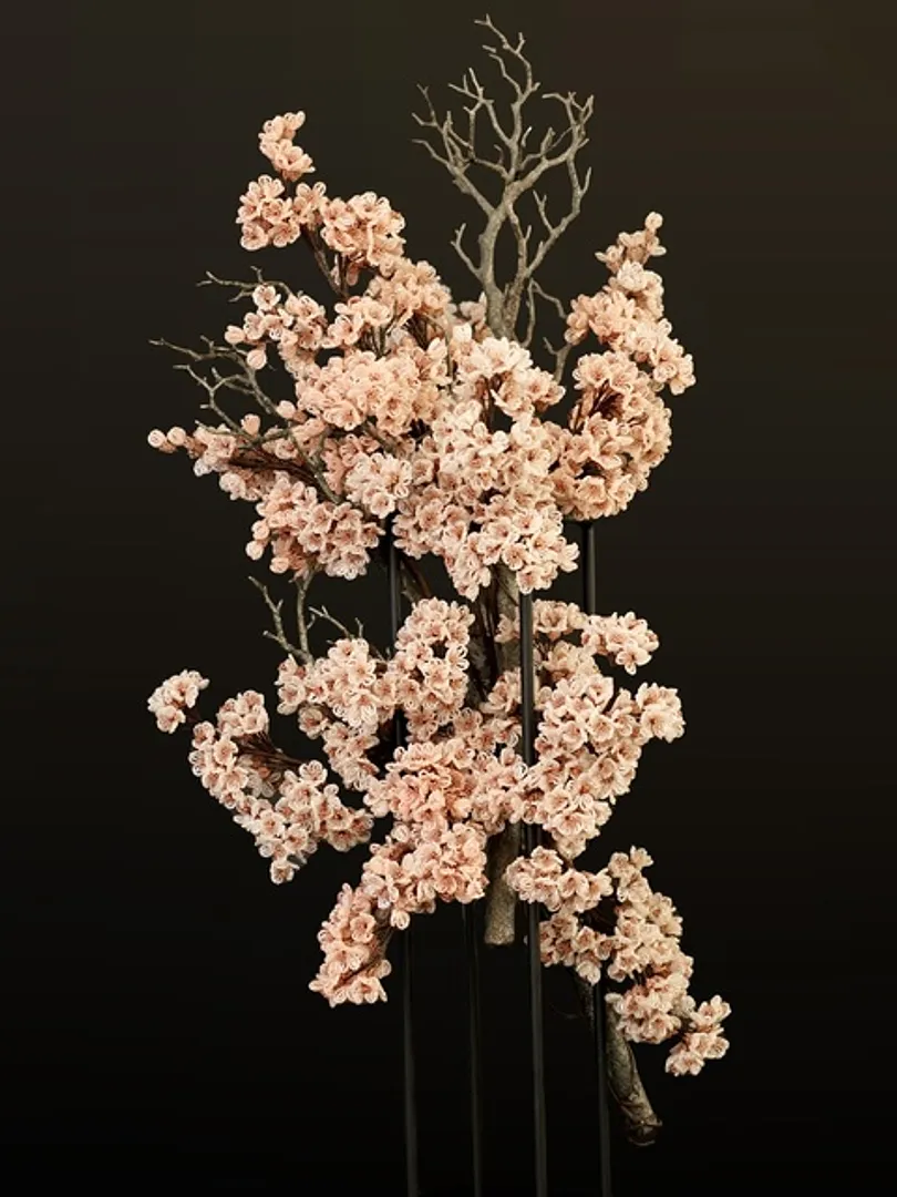 復興の桜（2025年・下永瀬美奈子・個人蔵）