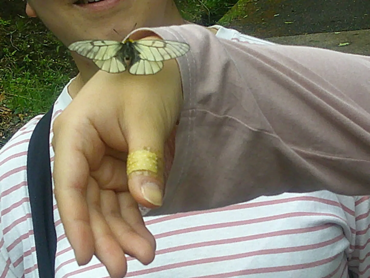 イベントの様子