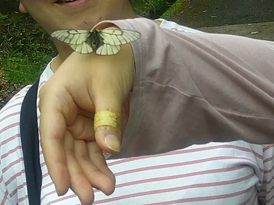 イベントの様子