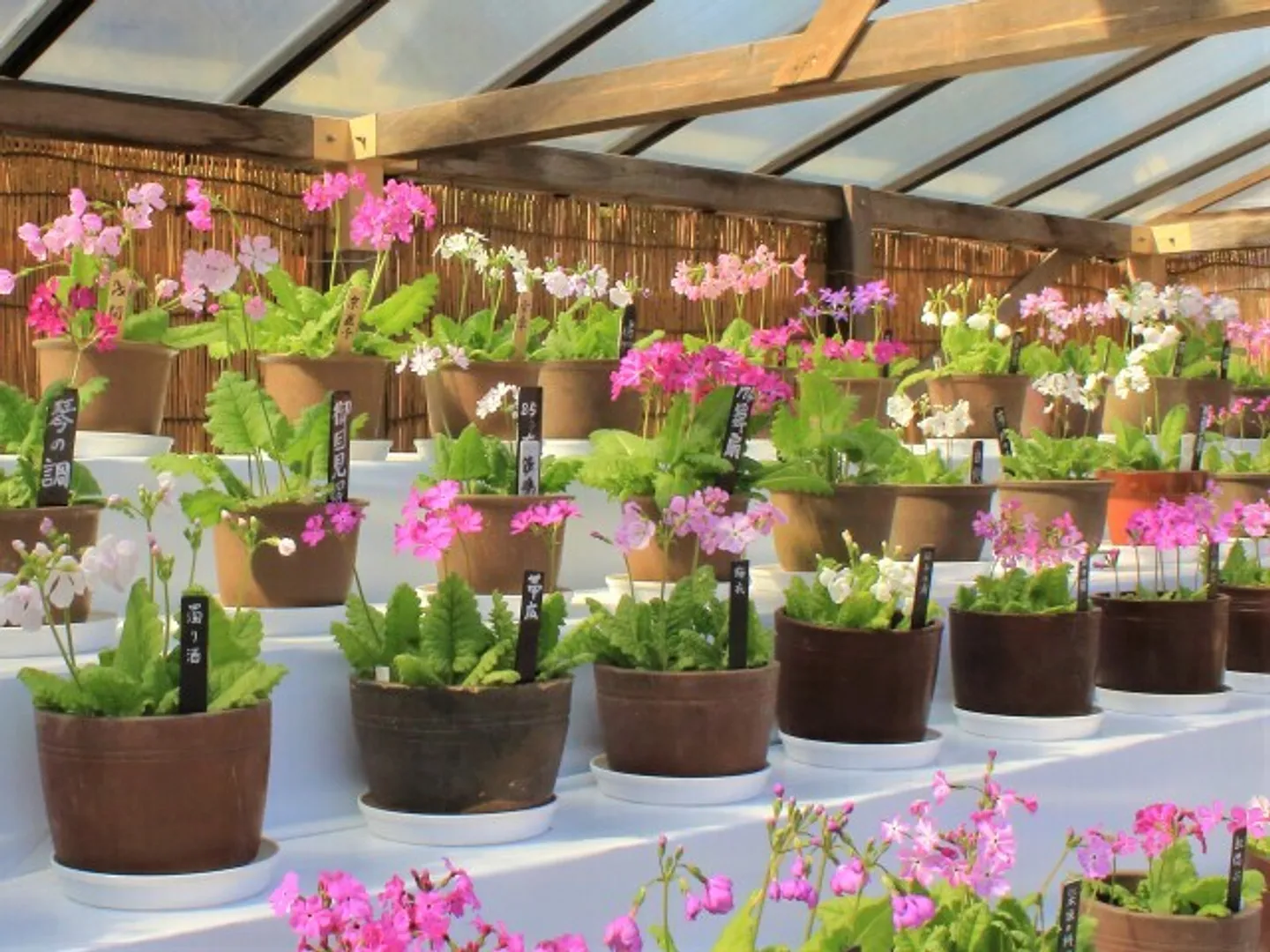 公益財団法人三溪園保勝会