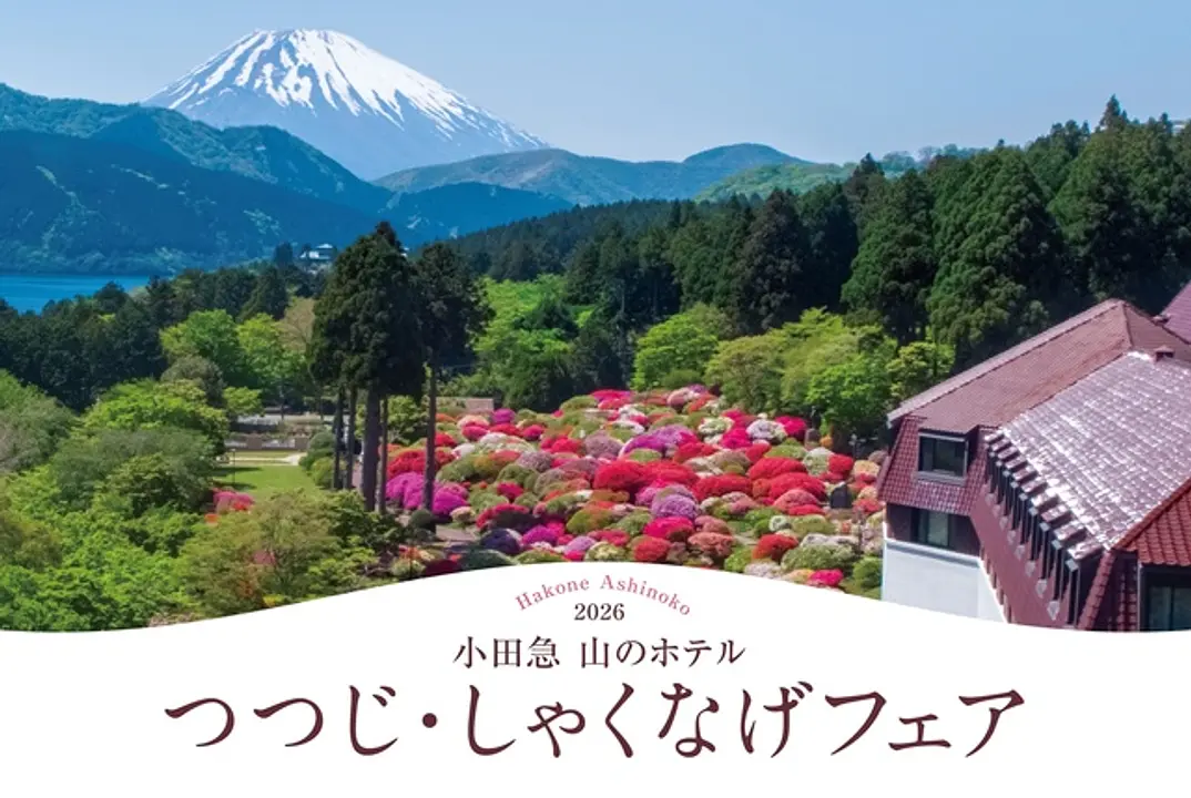 美しいツツジが咲くホテル庭園