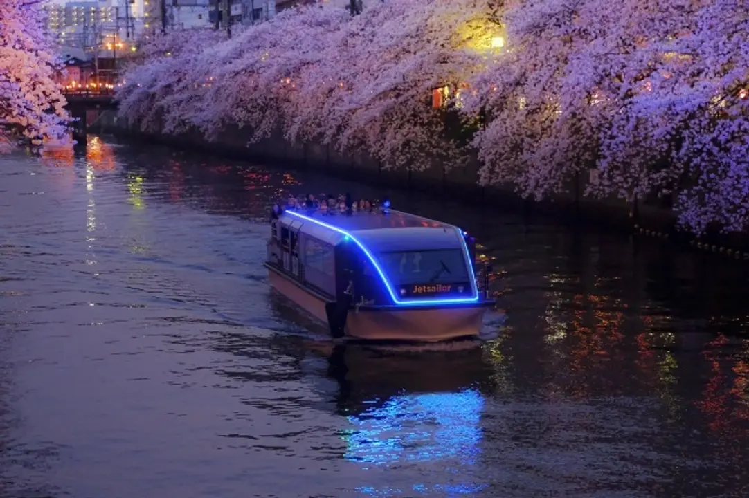 夜の大岡川の桜並木