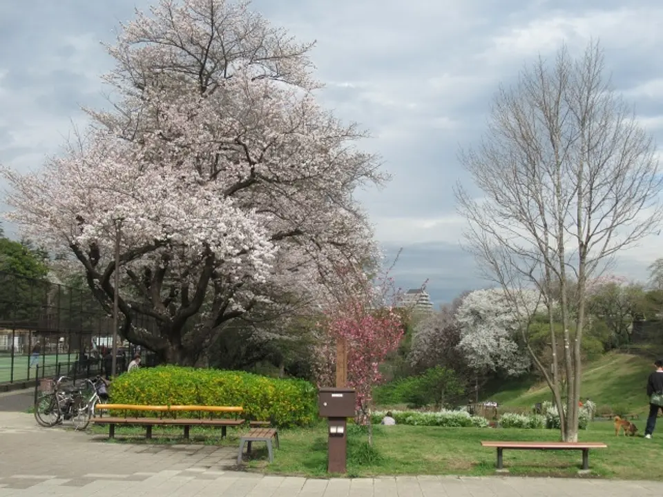 （公財）神奈川県公園協会　保土ケ谷公園